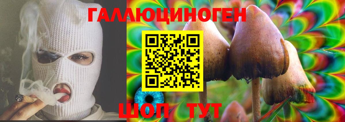 Псилоцибиновые грибы Psilocybe  Вход с VPN  Киров 